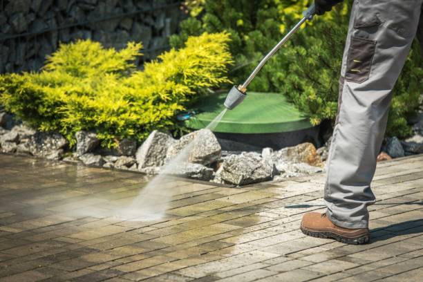 Best Winterizing Services  in Mountain View, HI